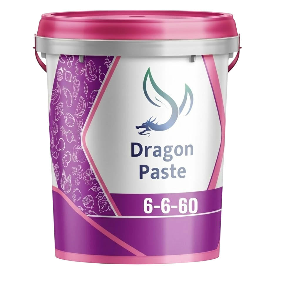 Imagen de DRAGON PASTE 6-6-60