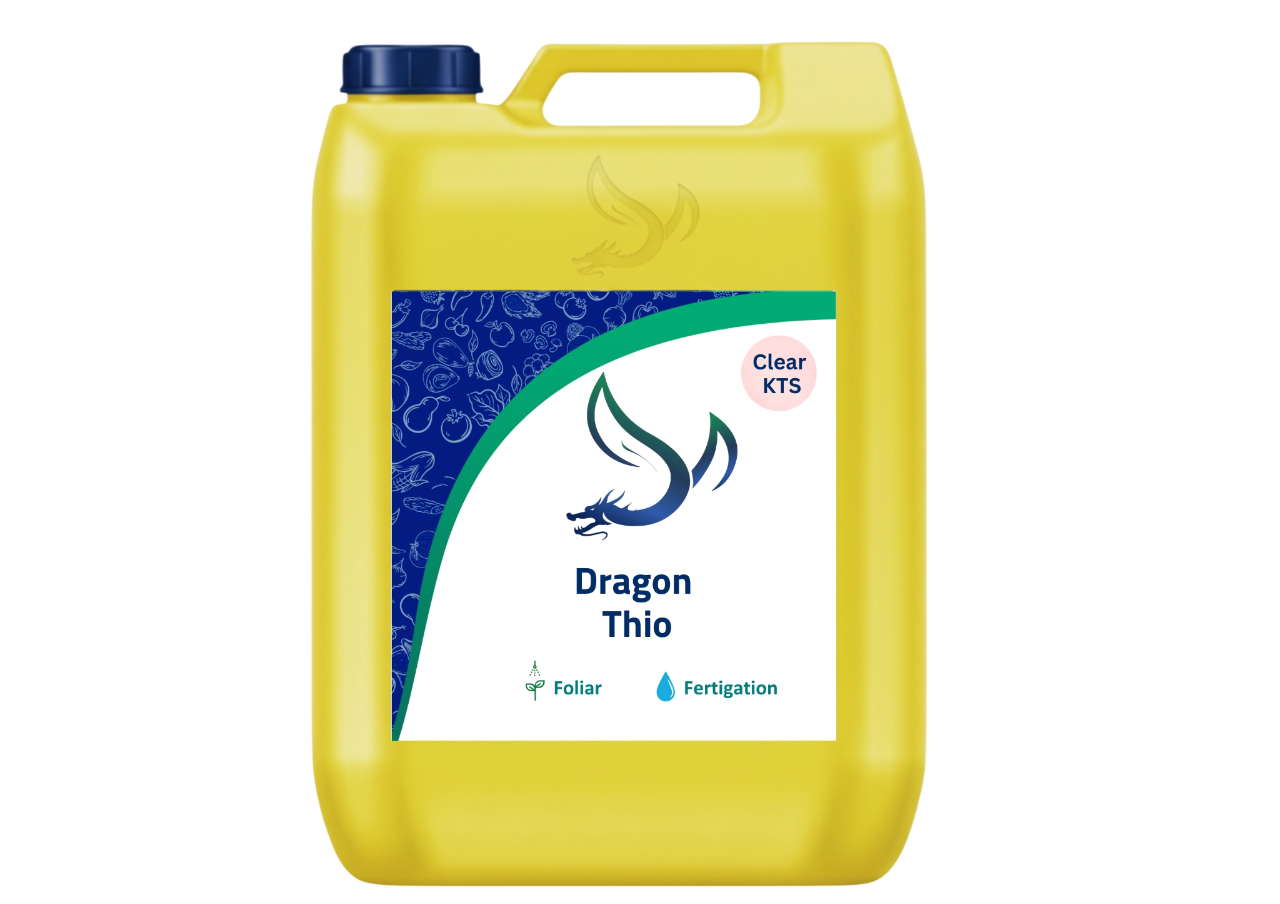 Imagen de DRAGON THIO